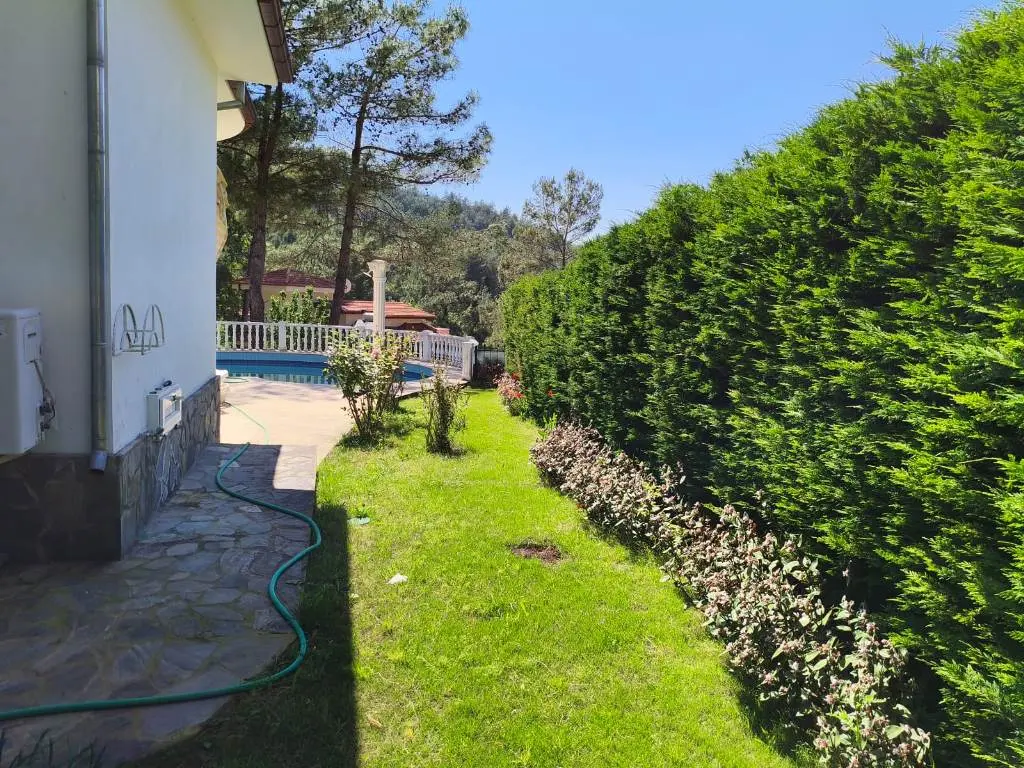 Garden area